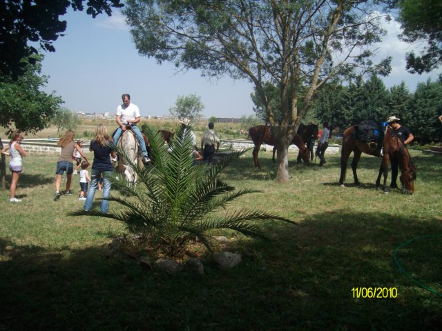 alim4254.jpg