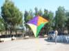 festadegliaquiloni2009_small.jpg