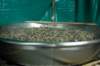 dsc_5445_small.jpg