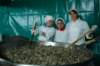 dsc_5447_small.jpg