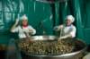 dsc_5481_small.jpg
