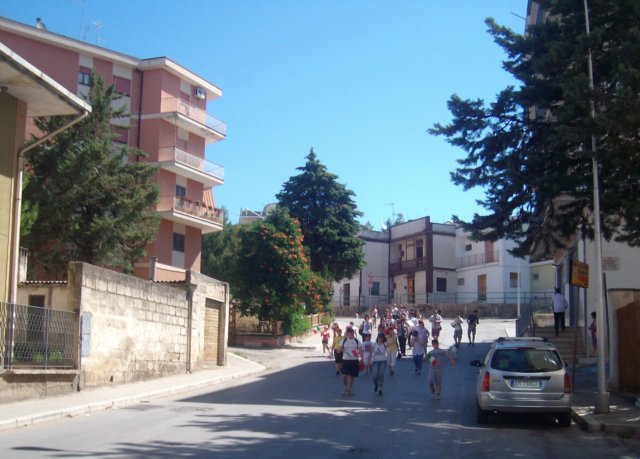alim7095.jpg