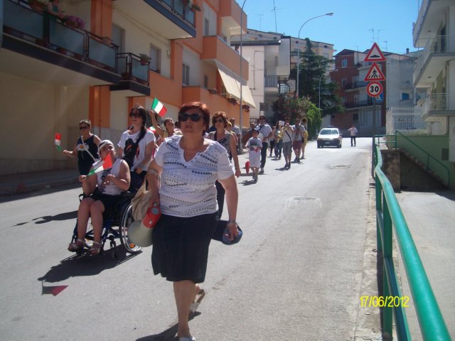 alim7101.jpg