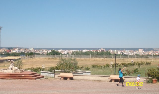 alim7124.jpg