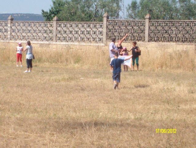 alim7133.jpg