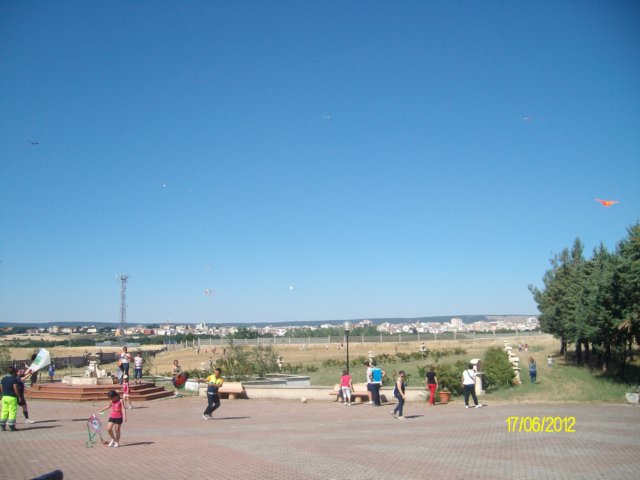 alim7150.jpg